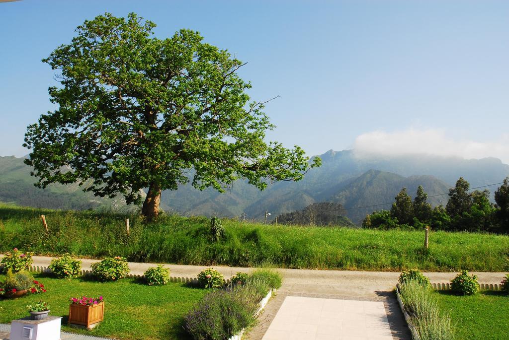 Hotel Mirador Del Sella Ribadesella Luaran gambar
